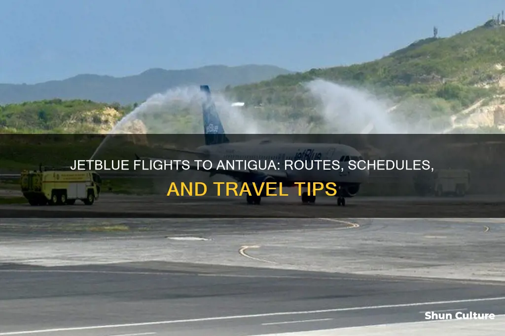 does jet blue fly to antigua
