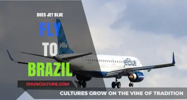 Does JetBlue Fly to Brazil? Routes, Destinations, and Travel Options