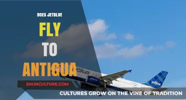 Does JetBlue Fly to Antigua? Your Travel Guide and Tips