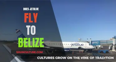 JetBlue's Belize Flights: Your Tropical Escape