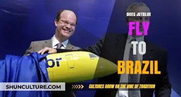 Does JetBlue Fly to Brazil? Exploring Routes and Destinations