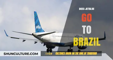Does JetBlue Fly to Brazil? Exploring Routes and Destinations
