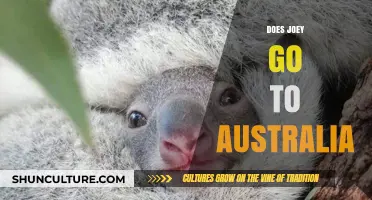 Does Joey Go to Australia? Unraveling the Mystery of His Journey