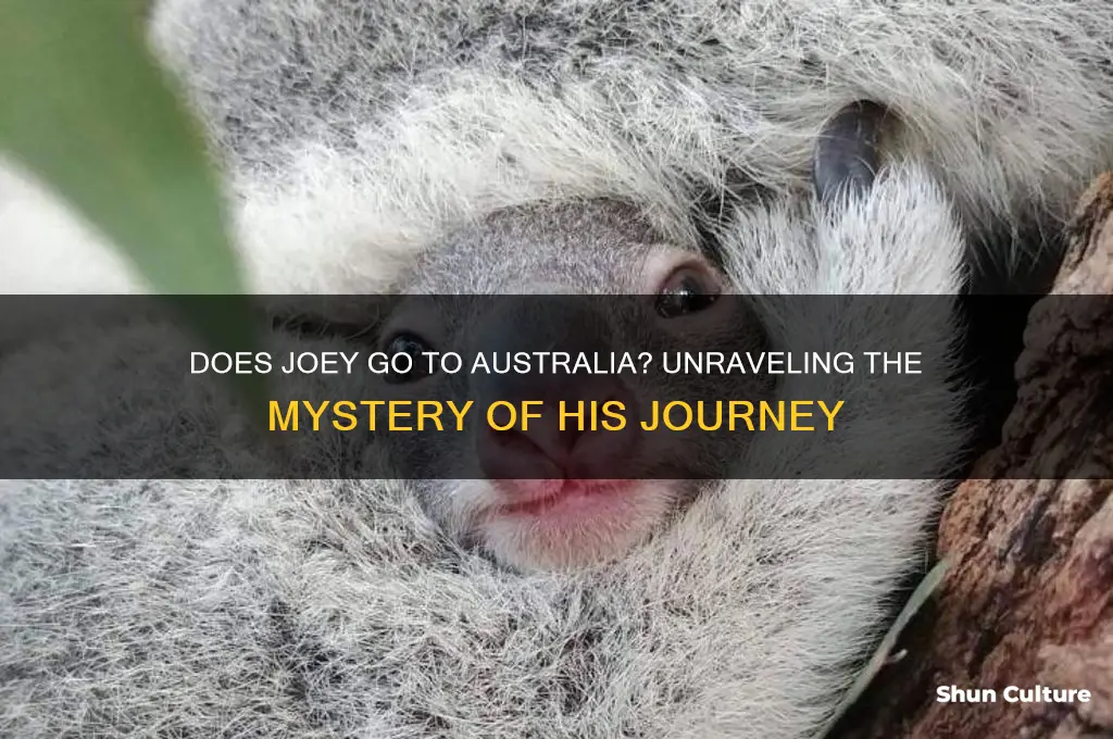 does joey go to australia