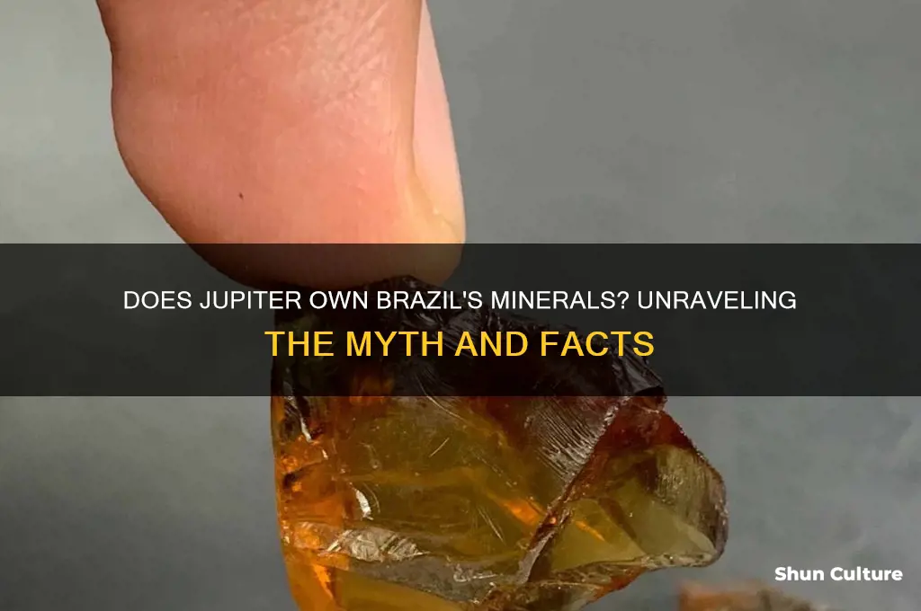 does jupiter own brazil milerals