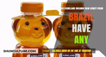 Kirkland Organic Raw Honey from Brazil: Benefits, Quality, and Concerns