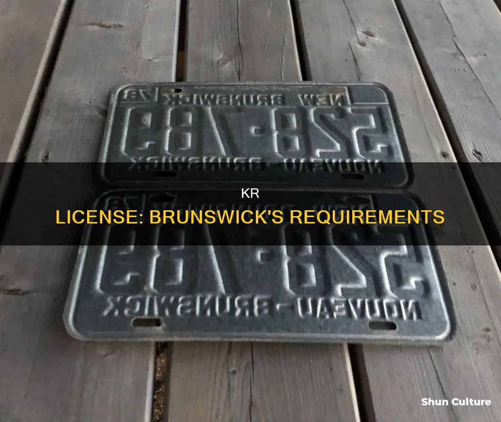 does kr license brunswick