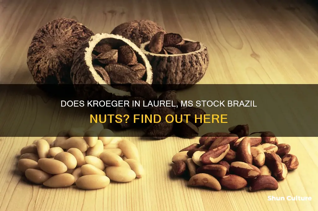 does kroeger in laurel ms have brazil nuts