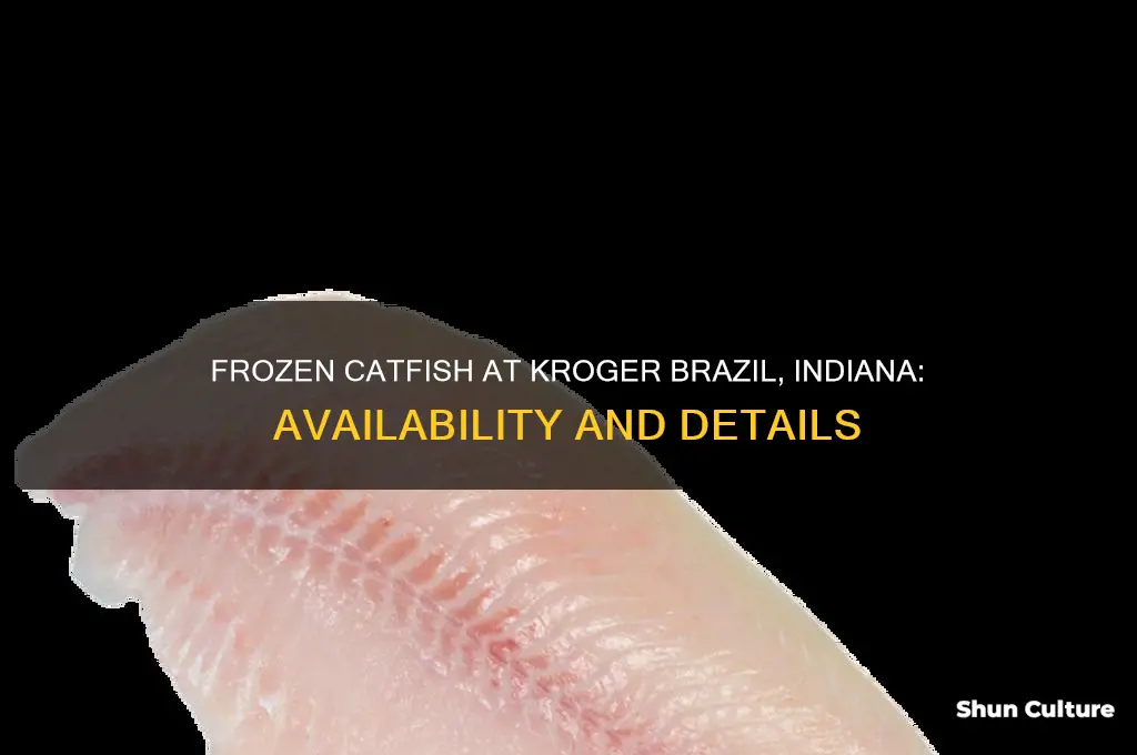 does kroger in brazil indiana have catfish frozen