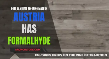 Austrian Laminate Flooring: Formaldehyde-Free or Not?