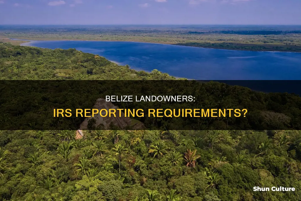 does land in belize need ro be reported to irs