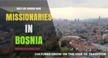 LDS Missionaries in Bosnia: Presence, Impact, and Cultural Engagement