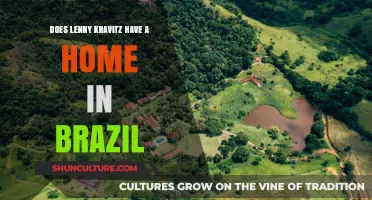 Lenny Kravitz's Brazilian Hideaway: Unveiling His Tropical Home in Brazil