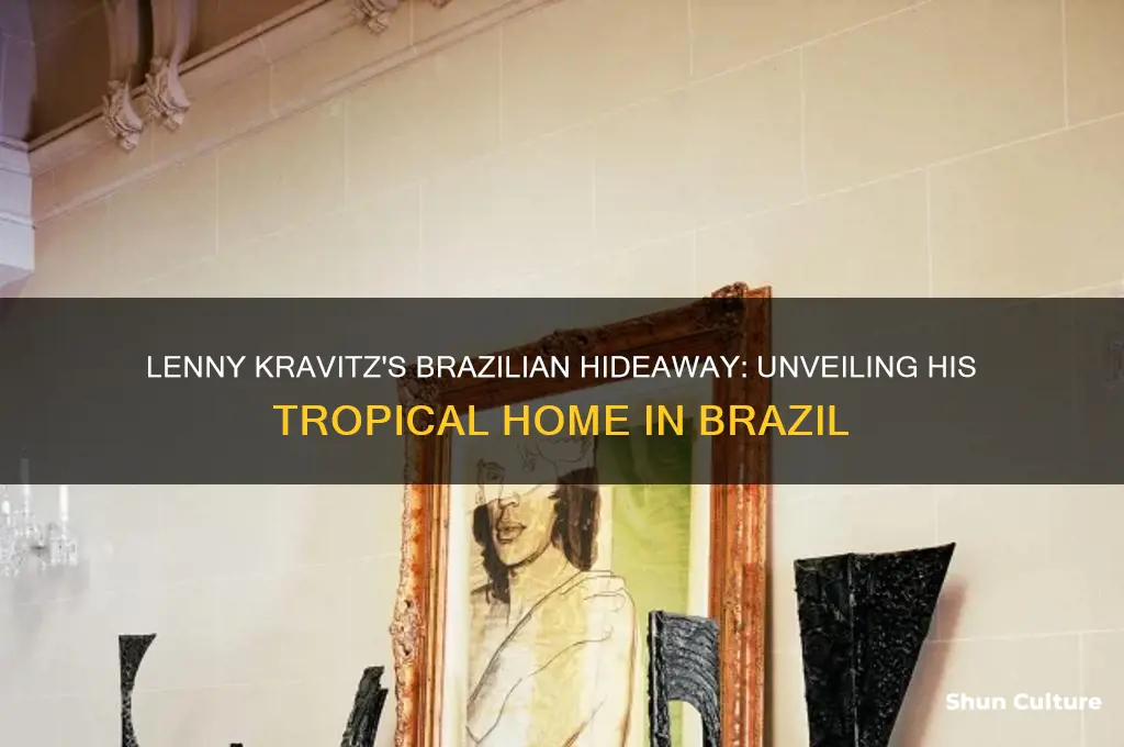 does lenny kravitz have a home in brazil