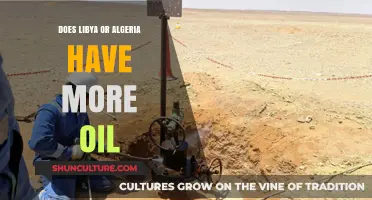 Libya vs. Algeria: Which Nation Holds Greater Oil Reserves?