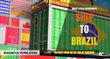 Does Little Passports Deliver to Brazil? Shipping Details Explained