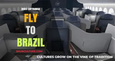 Does Lufthansa Fly to Brazil? Routes, Destinations, and Travel Tips