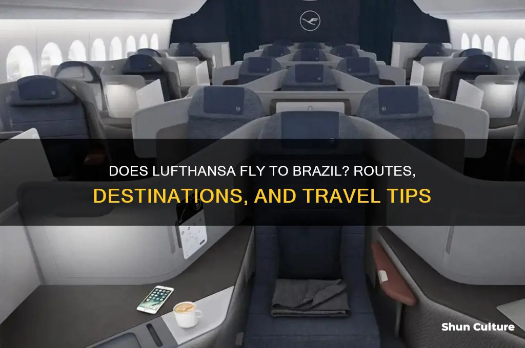 does lufthansa fly to brazil