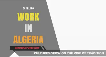 Does Luno Work in Algeria? A Comprehensive Guide for Users