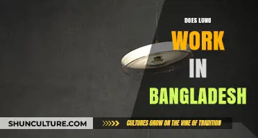 Does Luno Work in Bangladesh? A Comprehensive Guide for Users