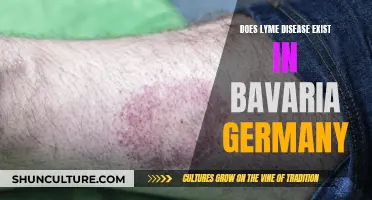 Lyme Disease in Bavaria: A Real Threat?