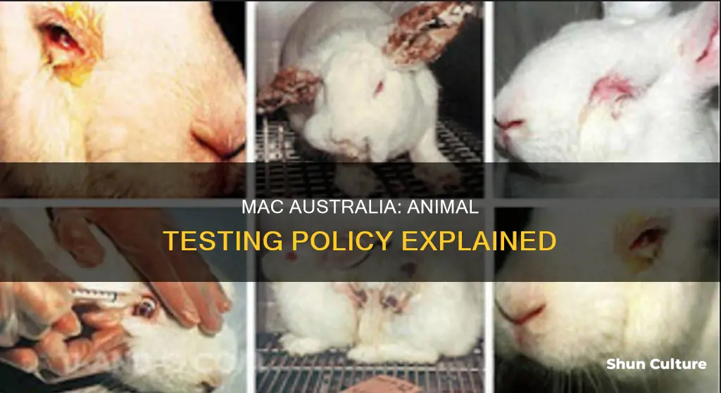 does mac australia test on animals
