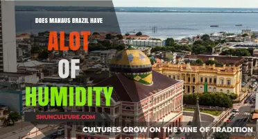 Manaus, Brazil: Unveiling the City's Humidity Levels and Climate Secrets