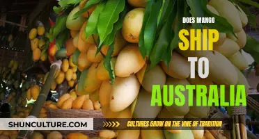 Mango's Shipping to Australia: All You Need to Know