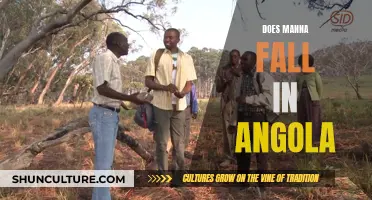 Manna in Angola: A Divine Intervention?