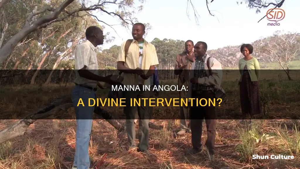 does manna fall in angola