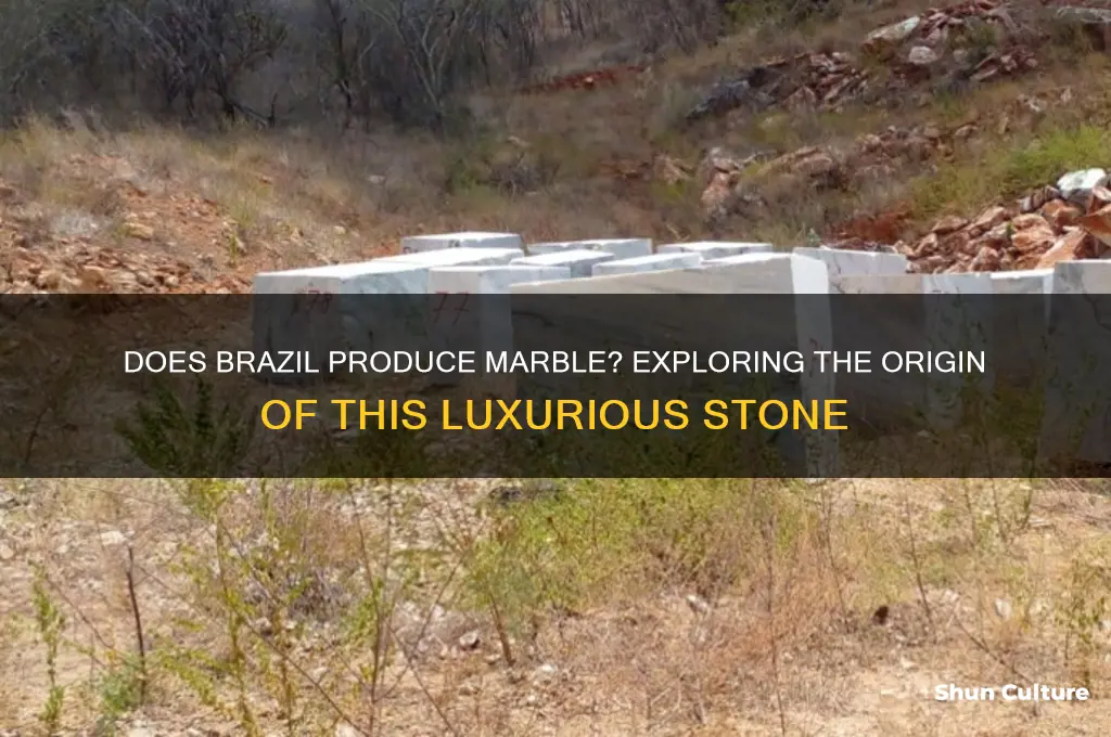 does marble come from brazil