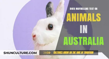 Maybelline Animal Testing: Australia's Cruelty-Free Status