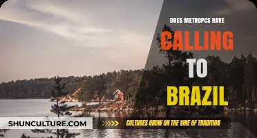 MetroPCS International Calling: Does Brazil Calling Plan Exist?