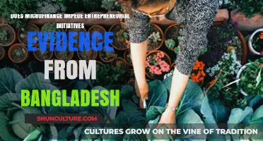 Microfinance in Bangladesh: Hindering or Helping Entrepreneurial Growth?