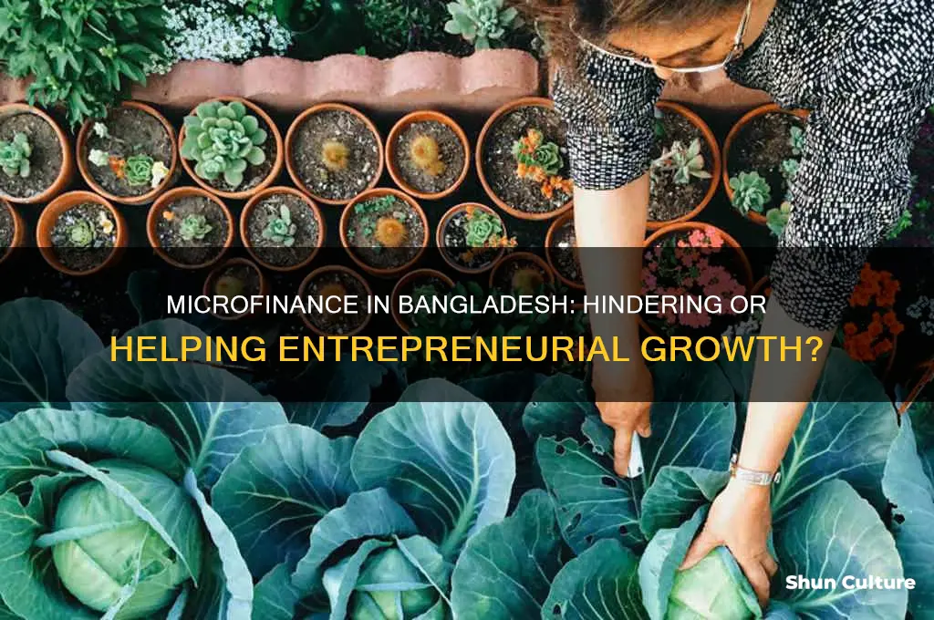does microfinance impede entrepreneurial initiatives evidence from bangladesh