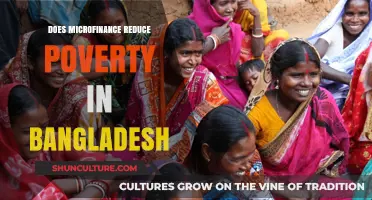 Microfinance in Bangladesh: A Poverty Reduction Tool or Myth?