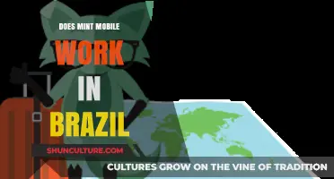 Does Mint Mobile Work in Brazil? A Comprehensive Guide for Travelers