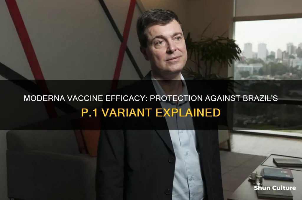 does moderna vaccine protect against brazil variant