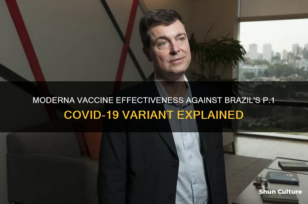 does moderna work on brazil variant