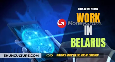 Using MoneyGram in Belarus: What You Need to Know