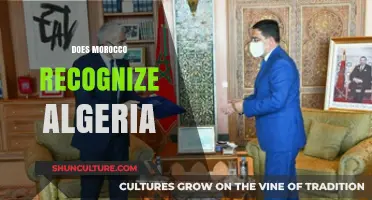 Morocco-Algeria Relations: Diplomatic Recognition and Border Tensions Explored