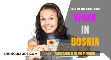 Visa Credit Card Acceptance in Bosnia: What Travelers Need to Know
