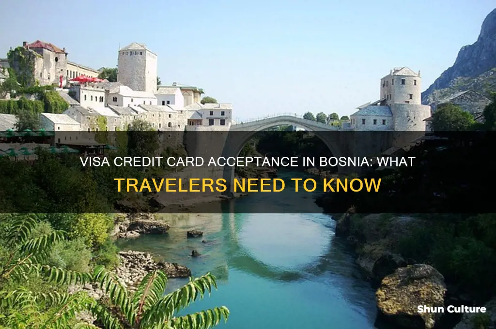 does my visa credit card work in bosnia