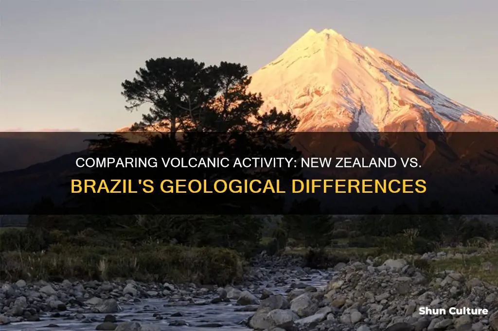does new zealand have more volacnoes than brazil