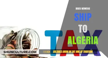 Does Newegg Ship to Algeria? International Shipping Guide 2023