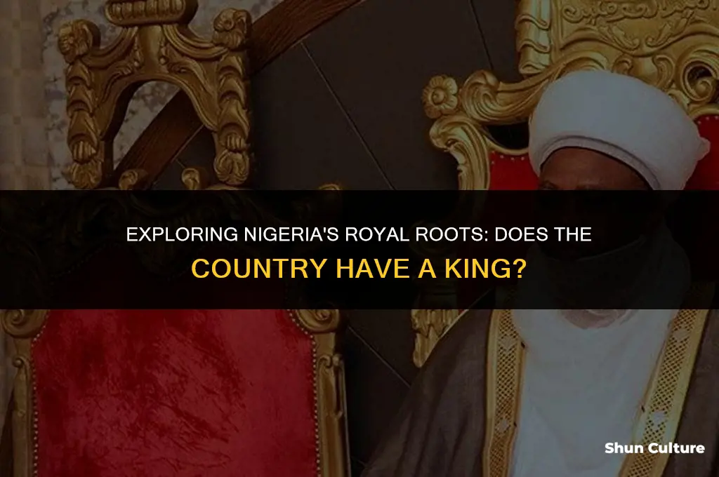 does nigeria have a king