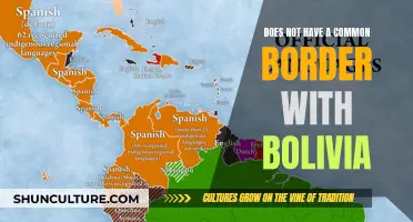 Which Country Doesn't Share a Border With Bolivia?