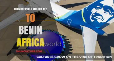 Exploring Benin: Does Oneworld Airlines Connect You to This African Gem?