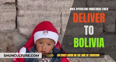 Operation Christmas Child: Delivering Gifts to Bolivian Children