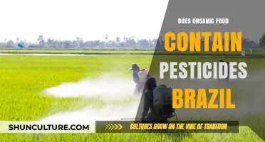 Organic Food in Brazil: Pesticide Presence and Consumer Concerns